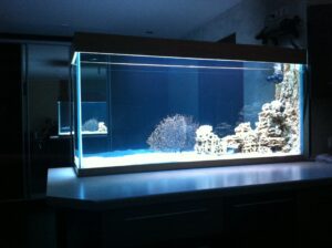 Морской аквариум в нише